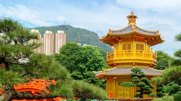 The gold pavilion and shaped pines of Nan Lian Garden at Diamond Hill