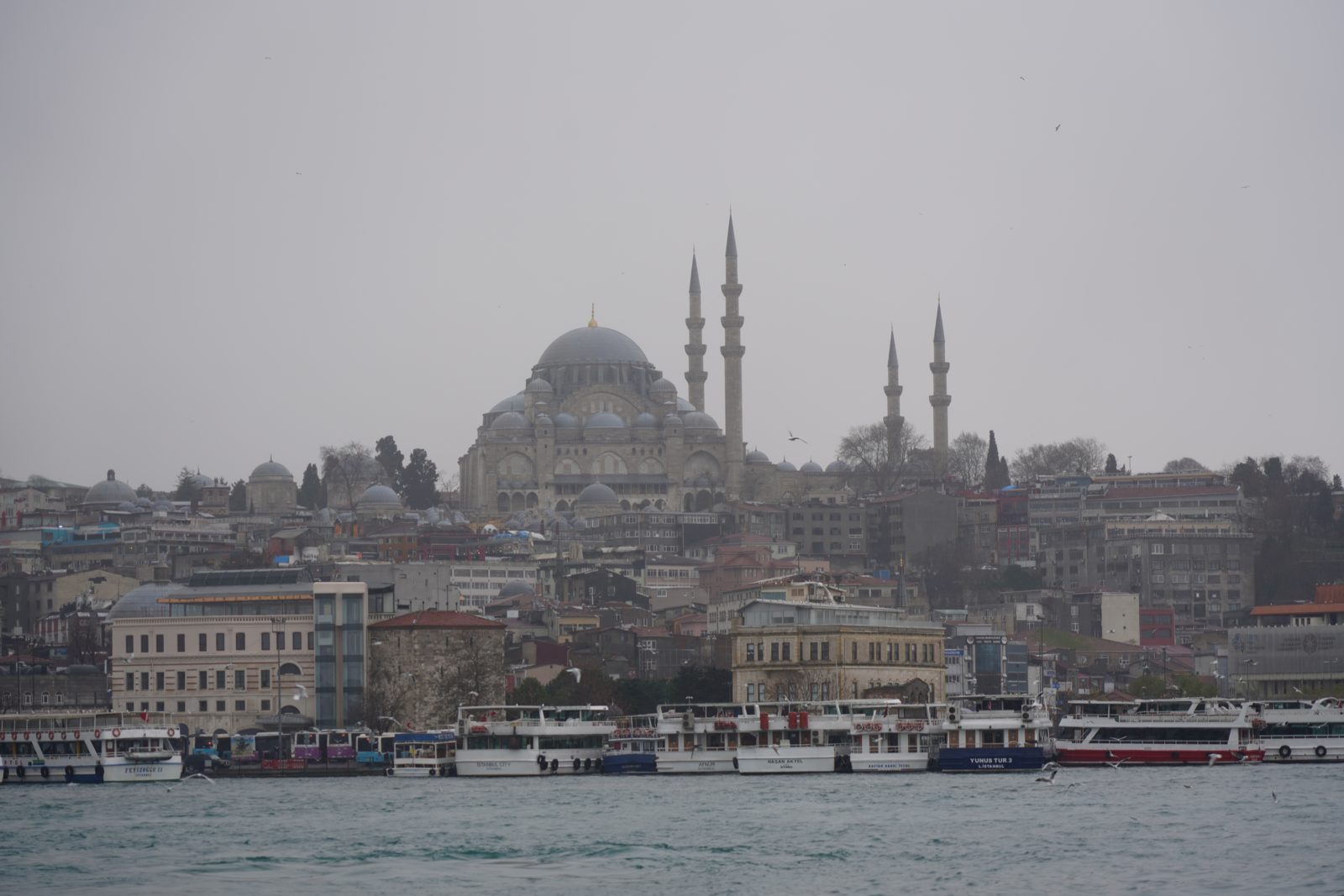 White commuter ferries moored along the waterfront at Eminönü, with the domes and minarets of Süleymaniye rising on the hill behind.