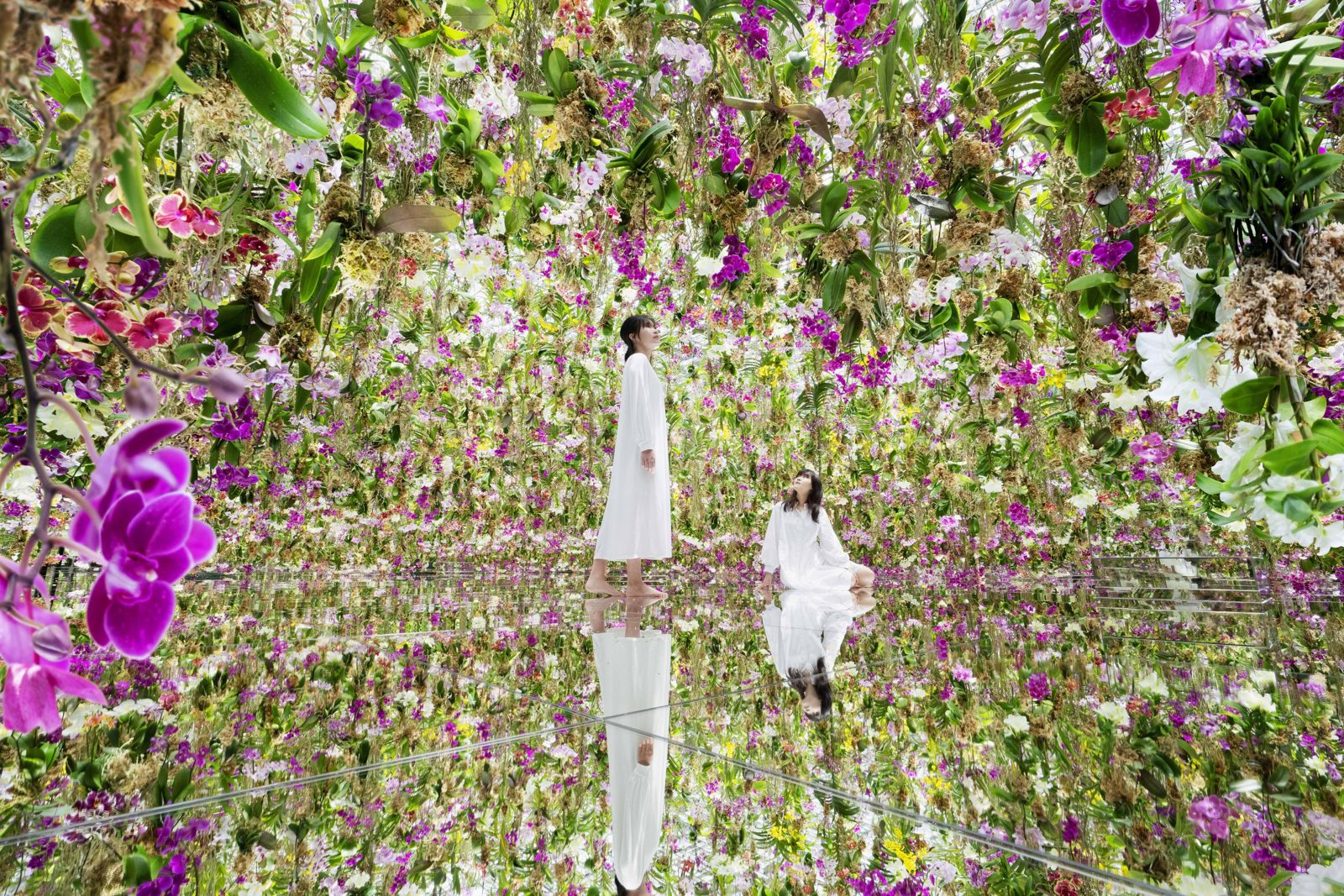 teamLab Planets Tokyo Toyosu