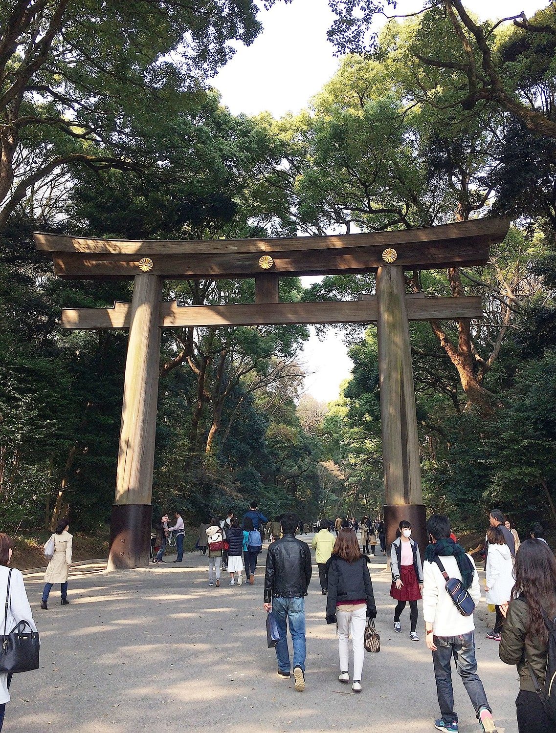 Meiji Jingu shrine Tokyo torii
