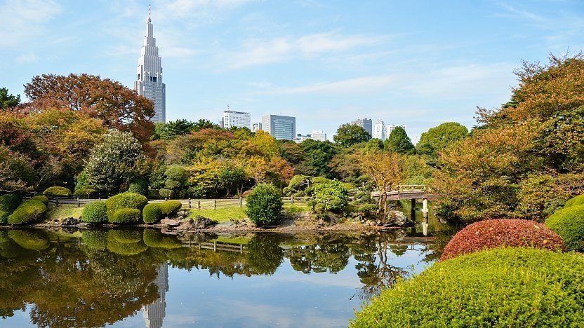 Shinjuku Gyoen national garden Tokyo