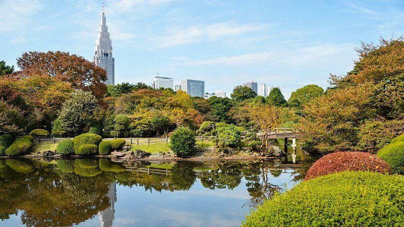 Shinjuku Gyoen national garden Tokyo